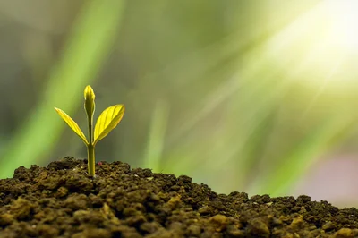 Que veut dire libellé du compte : définition et exemples pratiques 2026